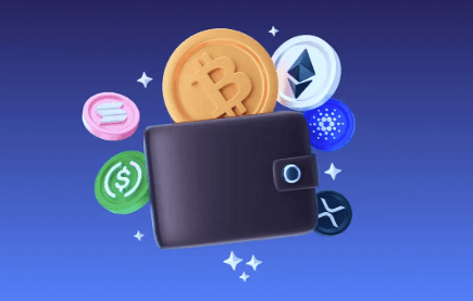 Best Crypto Wallets Compared