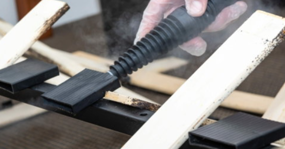 Why Hidden Household Pests Are Getting Harder to Ignore Today