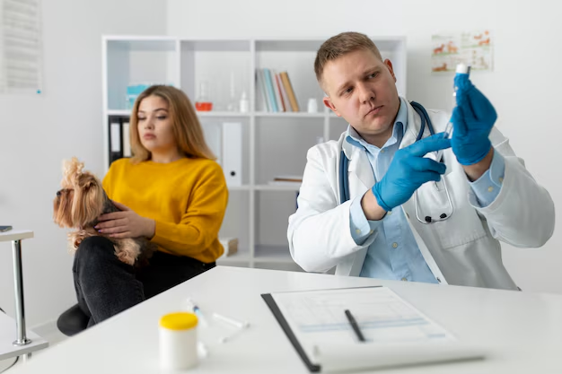 Chronic Hemorrhoids Treatment: Modern Solutions for Lasting Relief